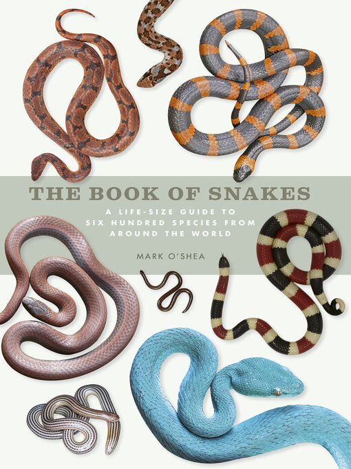 Cover image for The Book of Snakes